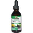 NATURE S ANSWER - OleoPein Olive Leaf Alcohol-Free Extract - 2 fl. oz. (60 ml) Supply