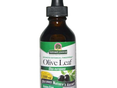 NATURE S ANSWER - OleoPein Olive Leaf Alcohol-Free Extract - 2 fl. oz. (60 ml) Supply