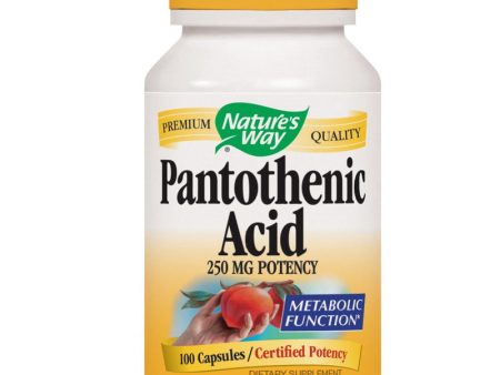 NATURES WAY - Pantothenic Acid 250 mg - 100 Capsules Cheap